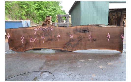 20ft long Oregon Black Walnut